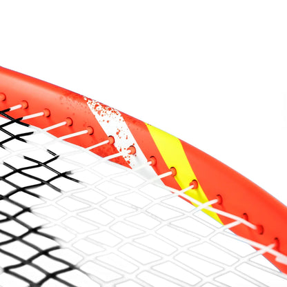 Raqueta de tenis Tecnifibre T-Fight 300S IG 